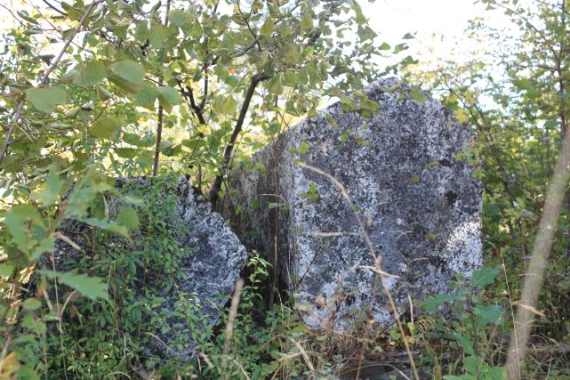 Nekropola sa stećcima na lokalitetu Kose u Crnićima, historijsko područje